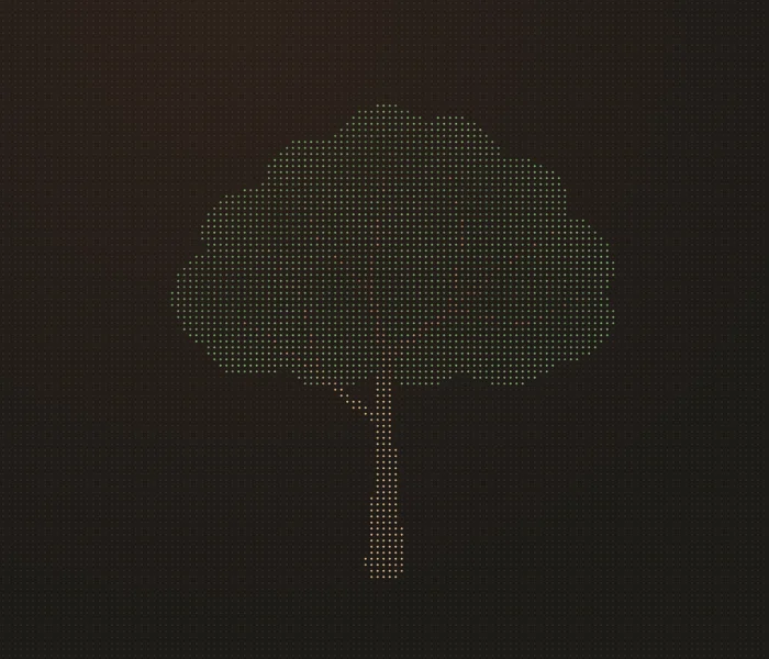 A seed grows into a leafy tree with spreading branches.